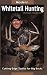 Book Modern Whitetail Hunting