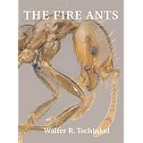 The Fire Ants