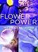 Price Comparison : Flower Power: The Purple Collection Small Note Cards in a Two-Piece Box (Potter Style)