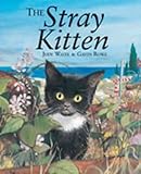 The stray kitten