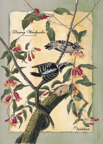 Audubon Garden Flag-Downy Woodpecker