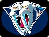 Nashville Predators Mouse Pad