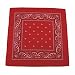 Bandana Biker Kopftuch rot-wei�