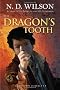 The Dragon's Tooth (Ashtown Burials)