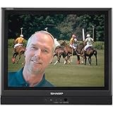 Sharp Aquos LC-13S1UB 13-Inch Flat-Panel LCD TV, Black