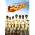 �s�[�i�b�c �v���~�A����G�f�B�V���� [DVD]