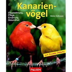Kanarienv�gel