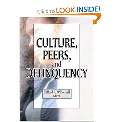 Culture, Peers, and Delinquency