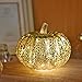 Mercury Glass Lighted Pumpkin with Timer for Fall DÃ©cor, Christmas gift, Silver, 5.5 inches