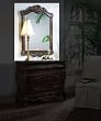 Hyde Park Mirror by Acme Furniture