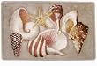 Expressions Sea Breeze Rug
