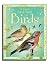 The Usborne little book of birds