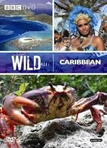 Wild Caribbean [DVD]