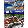 Wild Caribbean [DVD]