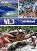 Wild Caribbean [DVD]