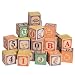 Swedish Alphabet ABC Blocks by Uncle Goose