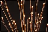 Battery Operated Willow Branch 60 Bulb - 20 Inches