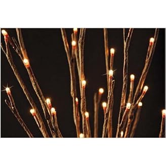 The Light Garden WLWB60 Lighted Willow Branch with 60 Bulbs, 20-Inch Tall