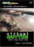 Virtual Gutter
