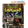 What Is a Life Cycle? (Science of Living Things)