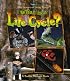 What Is a Life Cycle? (Science of Living Things)