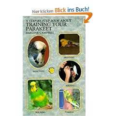 Training Your Parakeet (Step By Step)