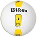 Wilson Official AVP Game Ball
