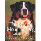 The Bernese Mountain Dog: A Dog of Destiny by Bernd Guenter