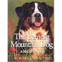 The Bernese Mountain Dog: A Dog of Destiny
