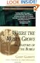 Where the Money Grows and Anatomy of the Bubble (Wiley Investment Classics)