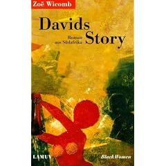 Davids Story. Roman aus S�dafrika