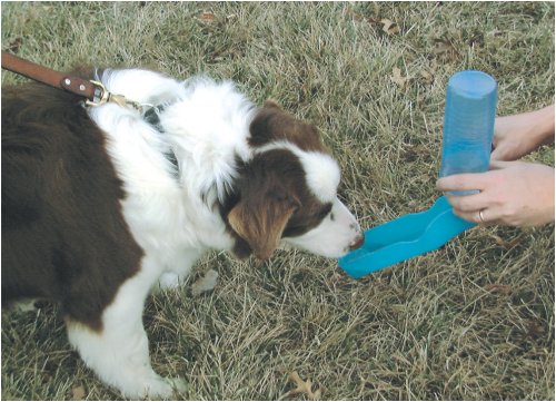 Handi-Drink 2