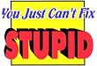 Cant Fix Stupid