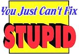 Novelty Sign: Cant Fix Stupid
