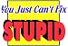 Novelty Sign: Cant Fix Stupid
