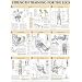 Strength Training Anatomy: Strength Training for the Legs Poster