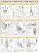 Strength Training Anatomy: Strength Training for the Legs Poster