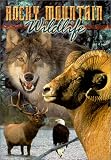 Rocky Mountain Wildlife
