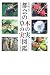都会の木の実・草の実図鑑