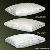 Blue Ridge Home 350 Thread Count Compartment Pillow-Extra Firm Density 122485 Jumbo White
