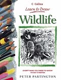 Wildlife (Collins Learn to Draw)