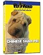 SHAR PEI DVD! Everything you should know + Dog & Puppy Training Bonus