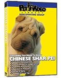 SHAR PEI DVD! Everything you should know + Dog & Puppy Training Bonus