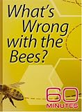 60 Minutes - What's Wrong With The Bees? (February 24, 2008)