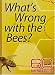 DVD : 60 Minutes - What's Wrong With The Bees? (February 24, 2008)