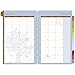 DayTimer Doodle Monthly Dividers 2016, Planner Refill, 5.5 x 8.5 Inches Page Size (151181601)