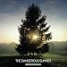 The Dangerous Summer-Reach for the Sun
