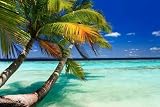 Wallmonkeys Peel and Stick Wall Decals – Tropical Paradise at Maldives – 24″W x 16″H Removable Graphic
