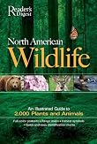 North American Wildlife