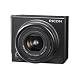 RICOH GXR �J�������j�b�gRICOH LENS S10 24-72mm F2.5-4.4 VC
